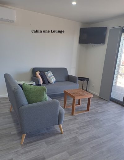 Cabin one lounge 1