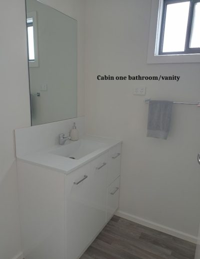 cabin one bathroom vanity